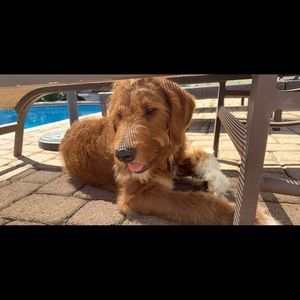 Meet your Posher, Jami